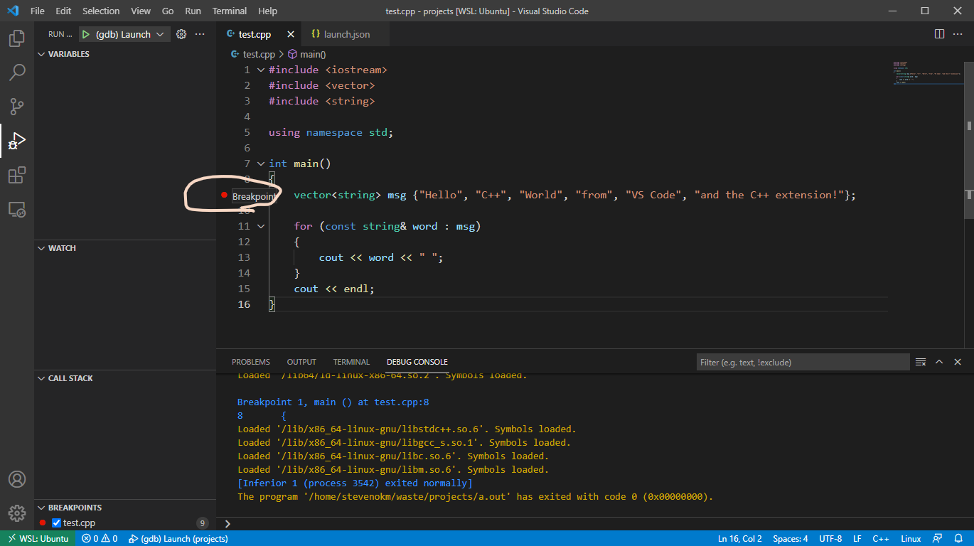 insert breakpoint